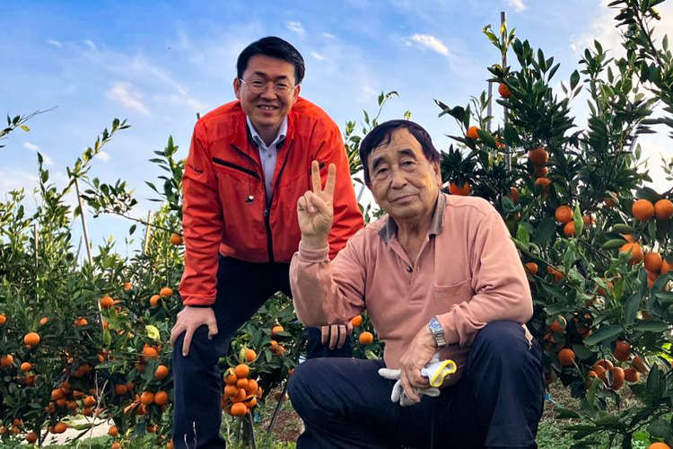Satsuma Mandarin Producers