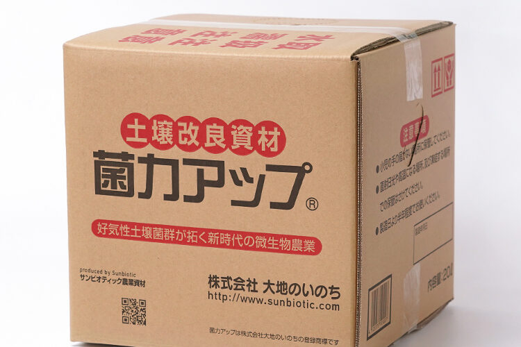 菌力アップ