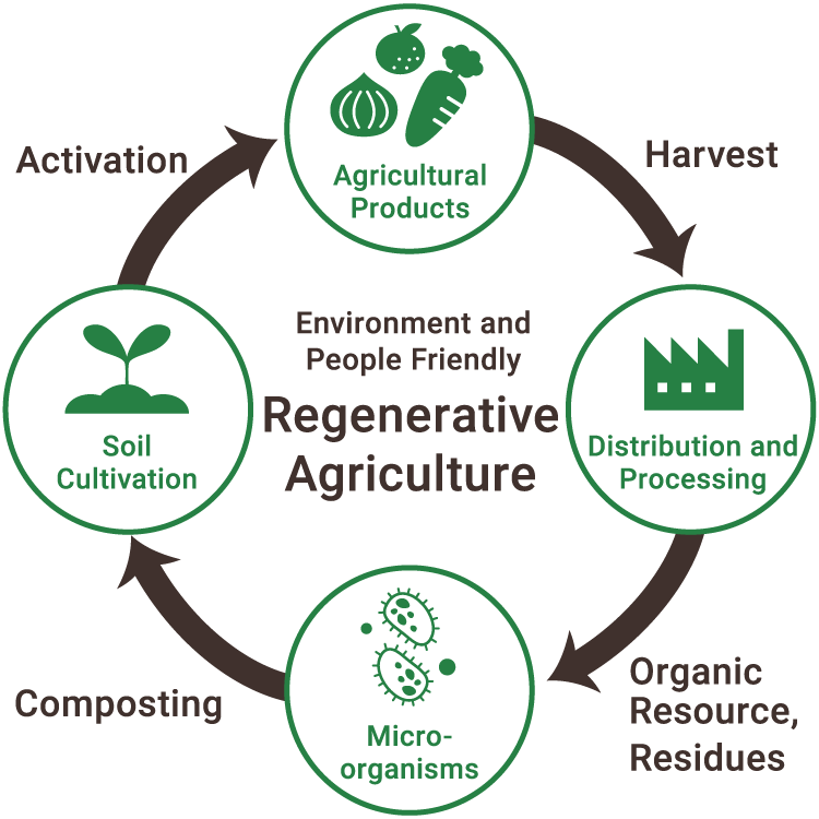 Regenerative Agriculture Cycle