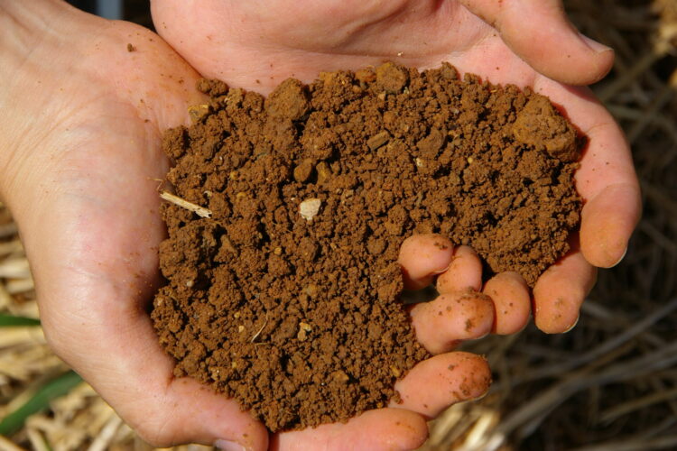 少ない肥料でバチッと効かせる！土作りは、経費削減・売上拡大の第一歩