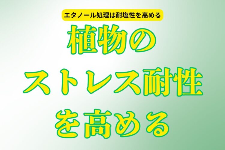 植物のストレス耐性を高める（塩害、塩類障害、乾燥）