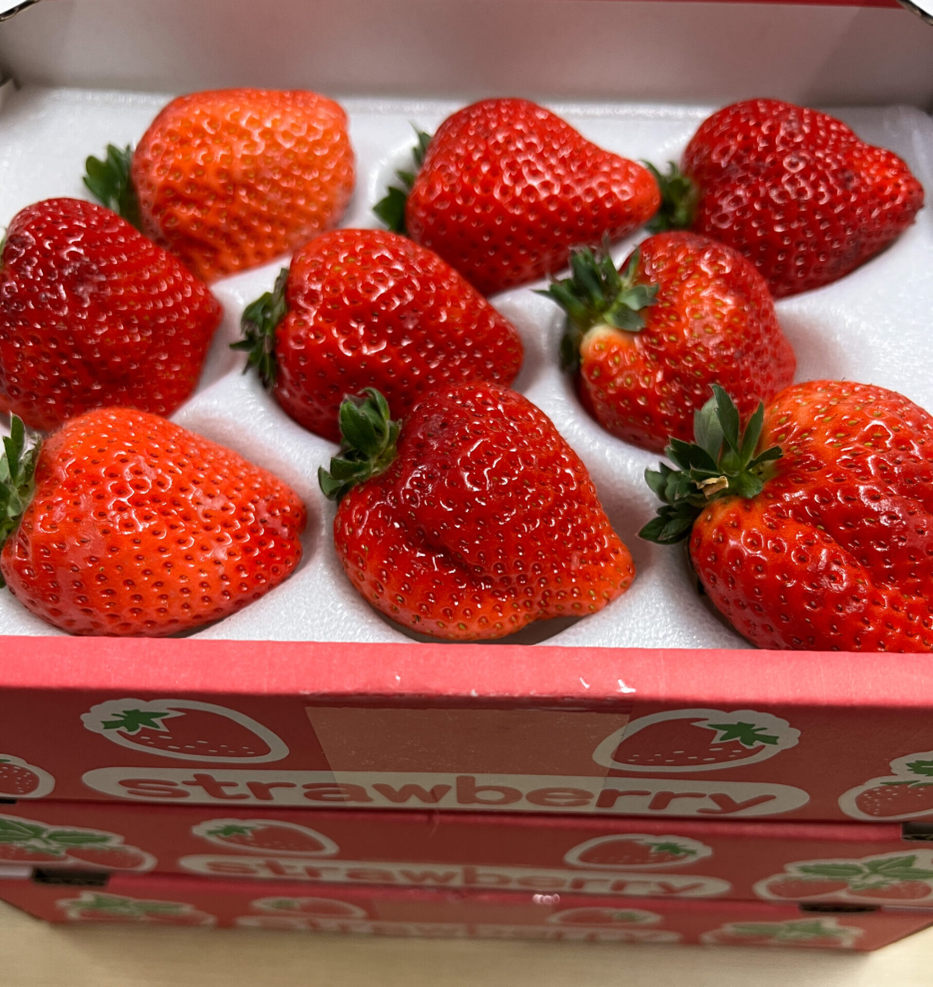 サンビオティックいちご、不作の年にも安定生産！なんていうか、一人